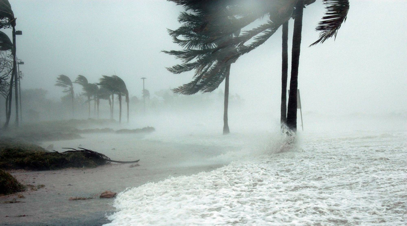 Tormenta tropical “Kiko” se forma en el océano Pacífico